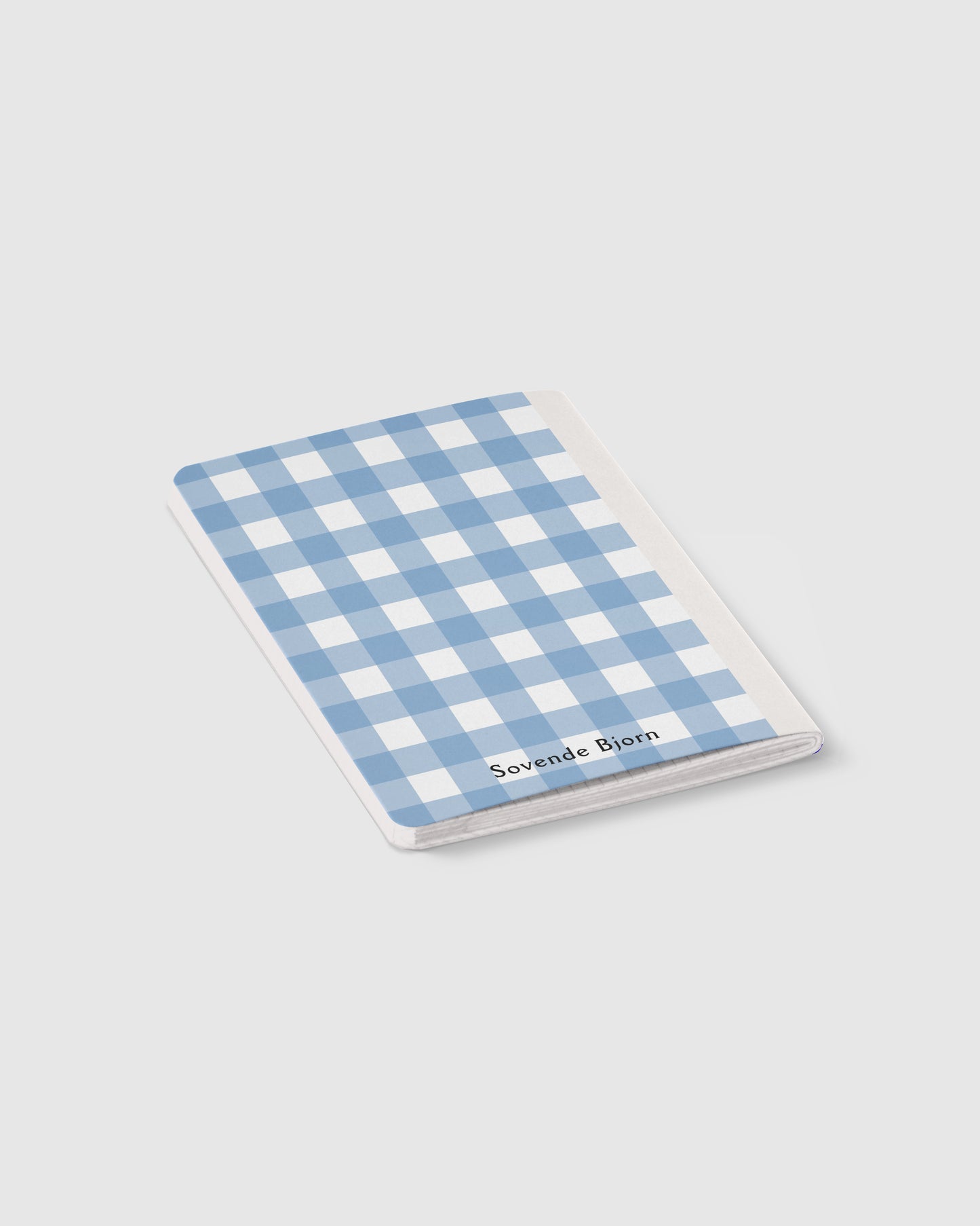 Blue Gingham Exercise Pad - Large