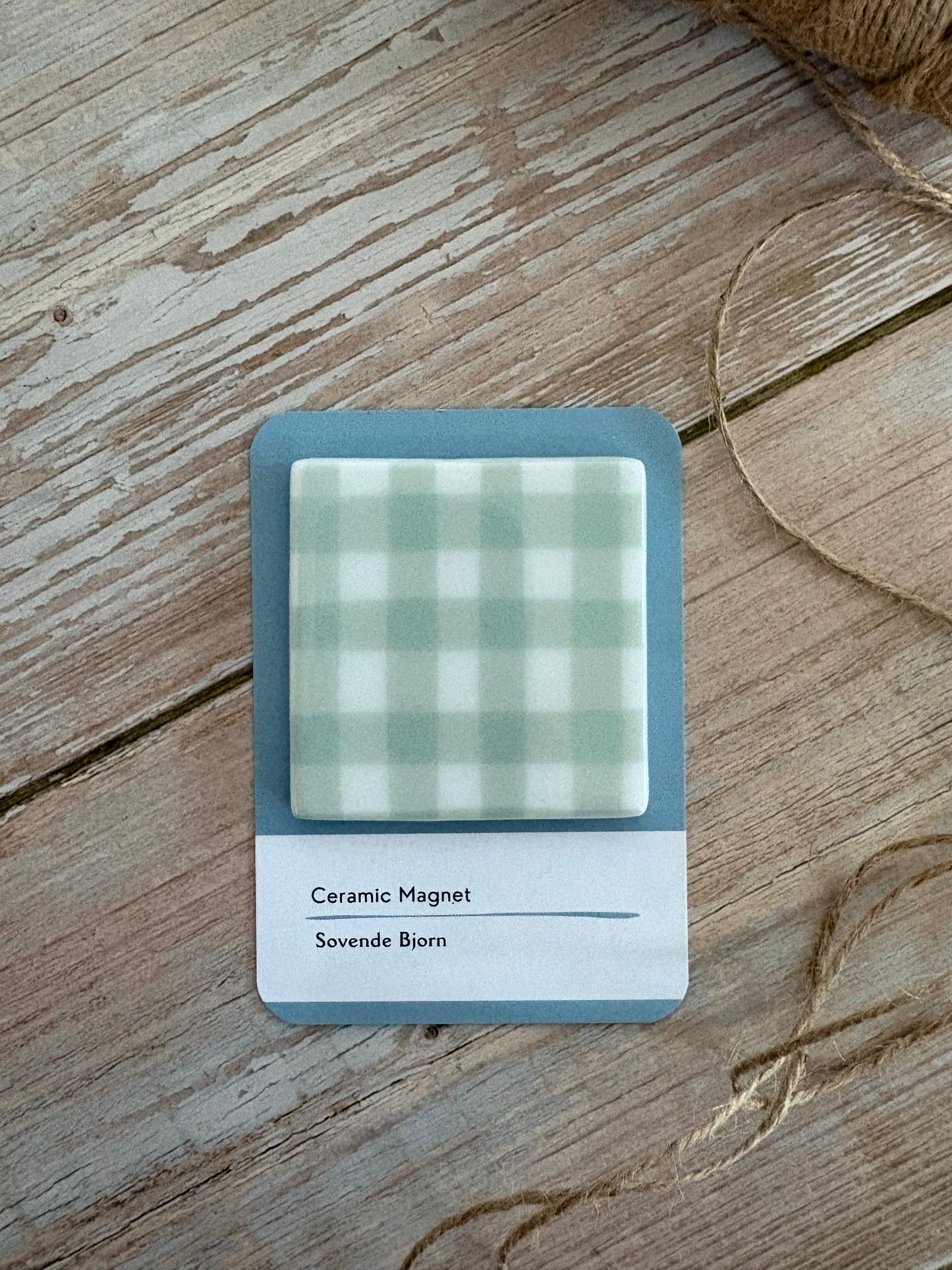 Blue Gingham Magnet