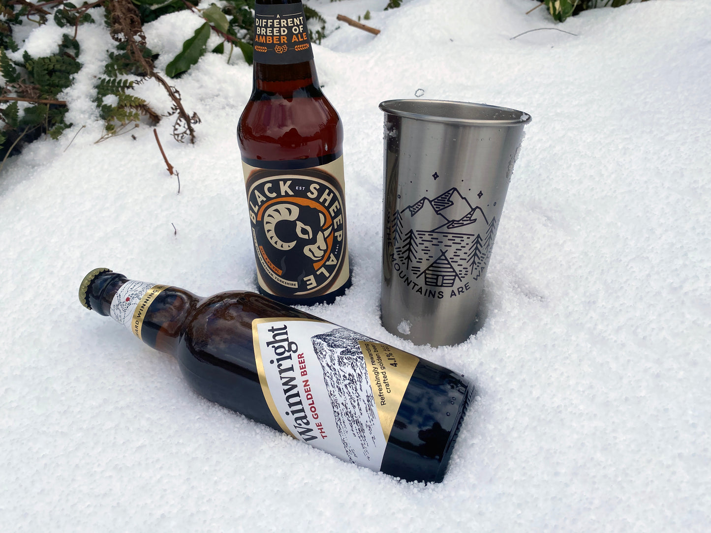 The Mountains are Waiting - Tumbler