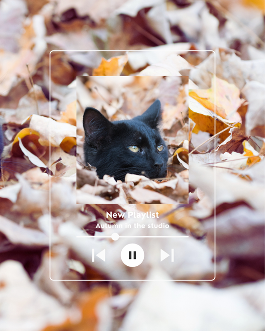 Autumn in the Studio - New Playlist