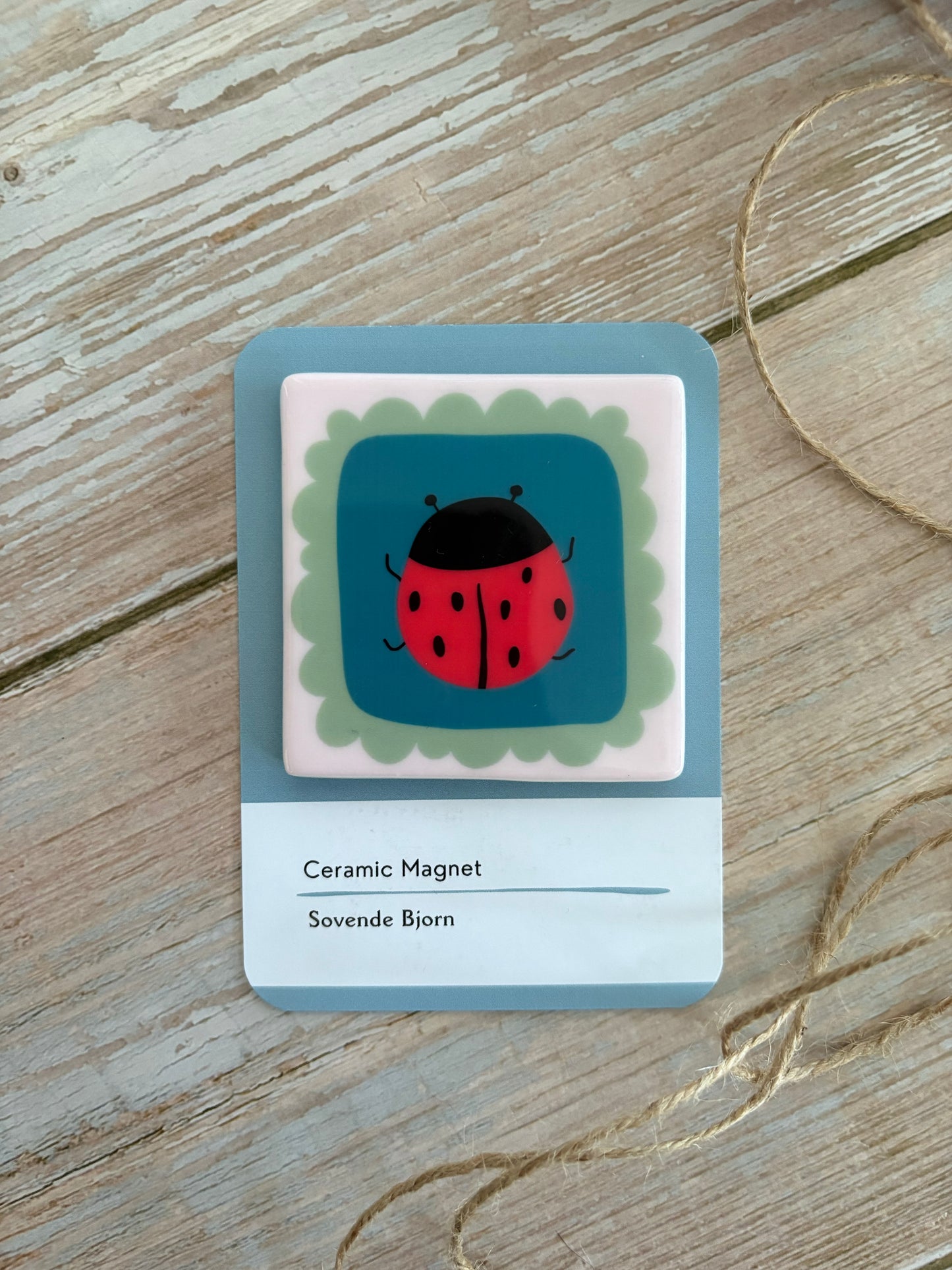 Ladybird Magnet