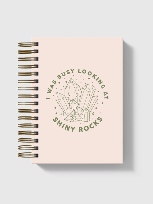 I was busy looking at shiny rocks Notebook